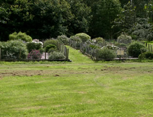 Hebe beds on 11th September 2004