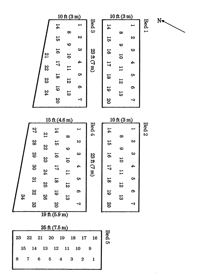 Plan of the hebe beds